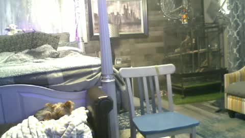 Randy8inbater online show from June 15, 2:03 am