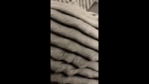 Snapshot of randyjohnson504 chatting on November 9, 5:06 am randyjohnson504 online show from November 9, 5:06 am