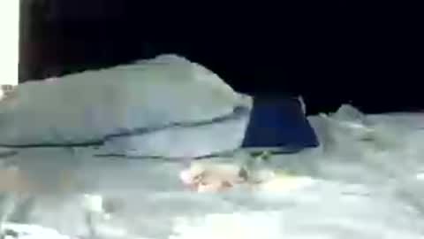 rara_molly online show from July 12, 6:04 am