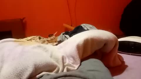 raulillo19842 online show from February 19, 12:28 am