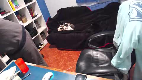 ravingr3d3 online show from December 21, 12:51 am