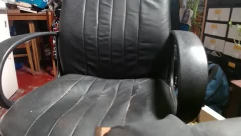 Ray online show from November 18, 12:05 am