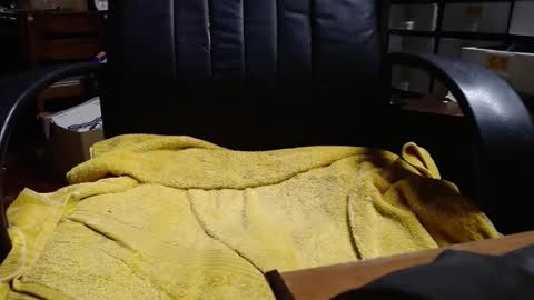 Ray online show from April 3, 1:36 am