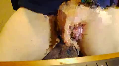 rb69er905364 online show from November 17, 10:04 pm