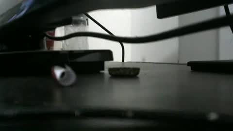 rbp1990rj online show from November 15, 9:39 am