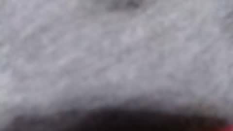 ready2fuk647232 online show from November 2, 9:44 am