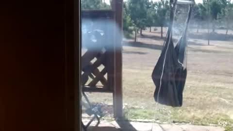 ready4aride2day online show from February 18, 3:52 pm