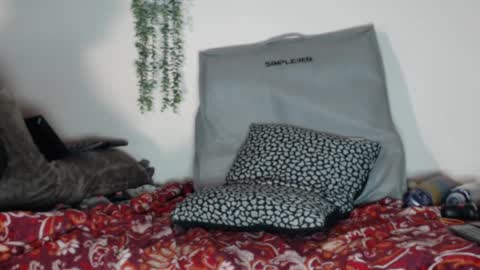 Fannie online show from February 28, 12:43 am