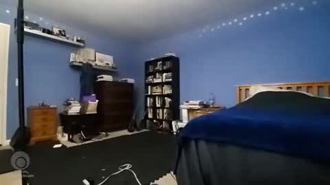 rebelstarlight online show from January 18, 9:46 am