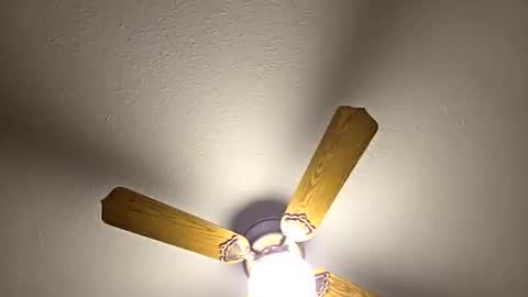 Snapshot of red24devils chatting on March 5, 1:56 am red24devils online show from March 5, 1:56 am