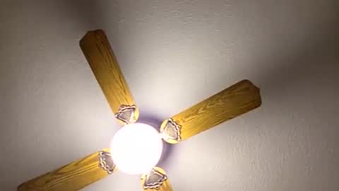 Snapshot of red24devils chatting on March 14, 12:39 am red24devils online show from March 14, 12:39 am