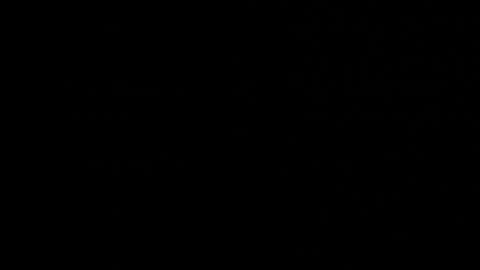 Neta online show from October 22, 12:44 am