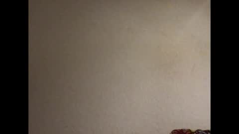 Snapshot of redfoxofficial chatting on December 14, 9:52 pm Redfox online show from December 14, 9:52 pm