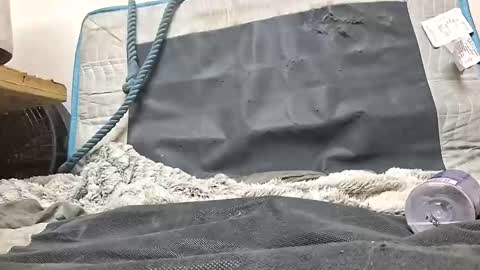 rednicedick online show from October 16, 1:17 am