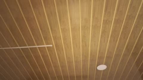 renaxi_smith online show from January 17, 7:50 pm