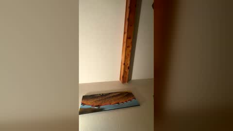 RhinoDickasaurus online show from December 17, 7:58 am