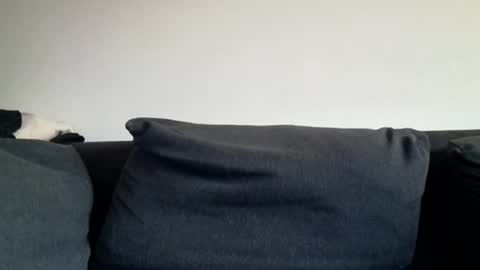 Shaved cock ready online show from March 31, 6:03 am