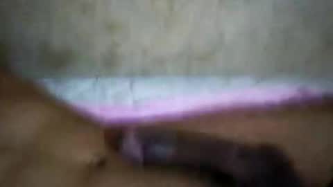 Snapshot of rica1234567890961640 chatting on October 21, 5:19 am rica1234567890961640 online show from October 21, 5:19 am