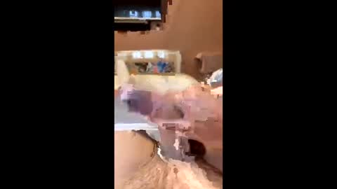 richmondal83 online show from October 22, 3:01 pm