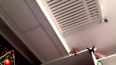 Snapshot of rickdaydream chatting on March 16, 8:35 pm RICK DAYDREAM online show from March 16, 8:35 pm