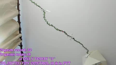 My name is Riley Like my broadcast pls 3 online show from May 21, 3:24 am