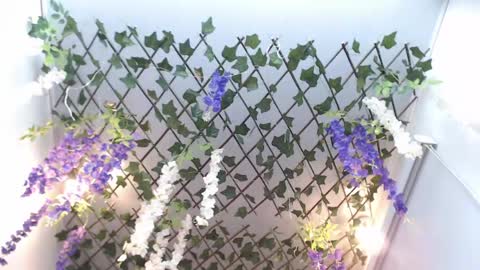 Risitos De Oro online show from April 19, 10:12 pm