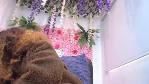 Risitos De Oro online show from April 20, 6:31 pm