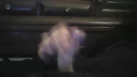 Snapshot of rlpl chatting on February 15, 5:42 pm rlpl online show from February 15, 5:42 pm