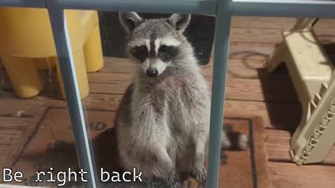 Snapshot of rndmzd chatting on December 4, 7:33 pm Ryan aka KeylimeRy online show from December 4, 7:33 pm