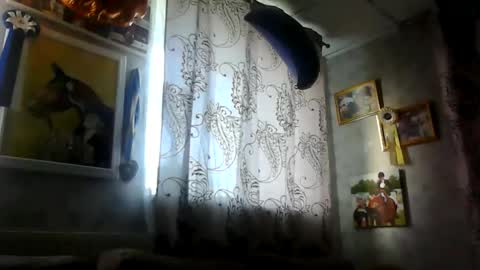 rob18997 online show from November 16, 10:54 am