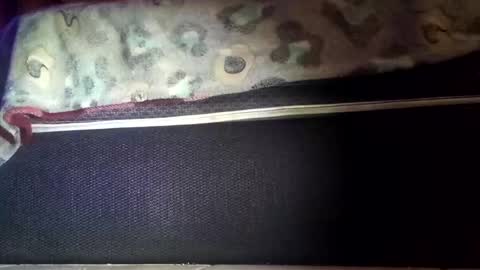 robert227818 online show from November 8, 6:13 am