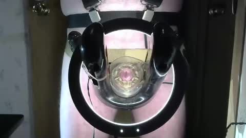 Snapshot of robodickmilker chatting on January 24, 12:31 am Robodickmilker online show from January 24, 12:31 am