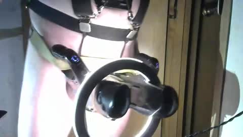 Snapshot of robodickmilker chatting on February 9, 2:38 am Robodickmilker online show from February 9, 2:38 am