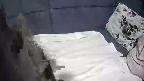 roccosan online show from October 4, 6:17 pm