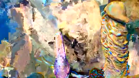 rockdrigo31 online show from May 2, 6:40 am