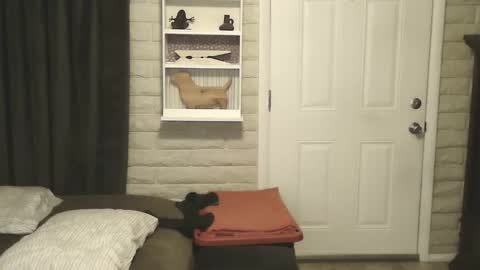 Snapshot of roinaz chatting on January 25, 6:55 am roinaz online show from January 25, 6:55 am