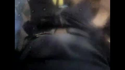 rollino83 online show from November 6, 10:38 am