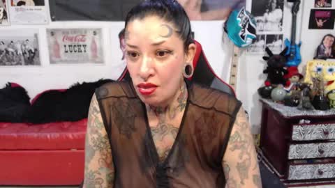 Snapshot of rollyderolandia666 chatting on December 15, 10:26 pm Rolly online show from December 15, 10:26 pm