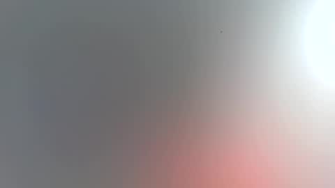 Trinked online show from November 15, 1:36 am