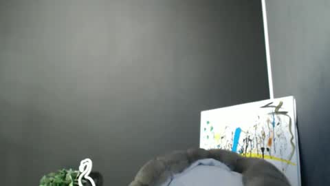 Rosalina online show from November 24, 2:28 pm