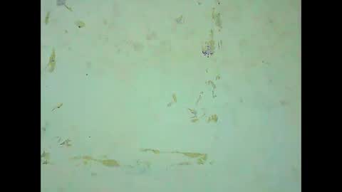 Snapshot of rosie6601 chatting on March 21, 8:19 am rosie6601 online show from March 21, 8:19 am