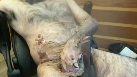 rotoball007 online show from January 30, 8:31 pm