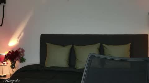 Snapshot of rougedoe chatting on March 29, 4:45 am Mistress Lana online show from March 29, 4:45 am