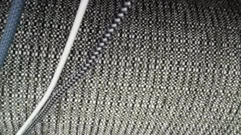 roxylove369 online show from April 3, 2:31 am