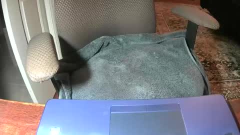 Lookingaround online show from June 22, 8:55 am
