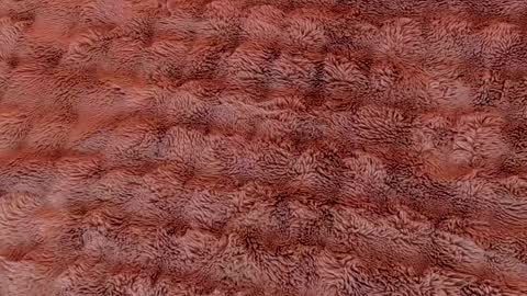 Ruby Luxe online show from April 5, 4:53 am