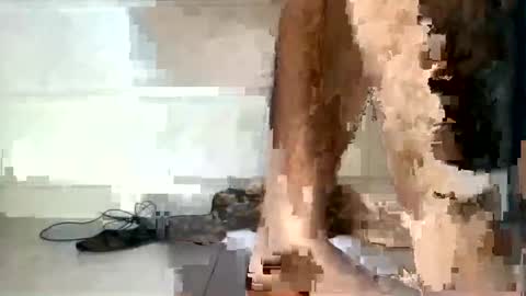 Snapshot of rumel_desi chatting on December 5, 6:33 pm tareq online show from December 5, 6:33 pm