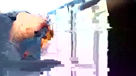 rushover63 online show from March 3, 10:49 am