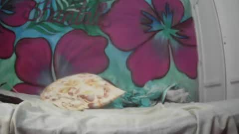 Snapshot of ryan_chocolate_horny chatting on July 20, 12:58 am Javier online show from July 20, 12:58 am