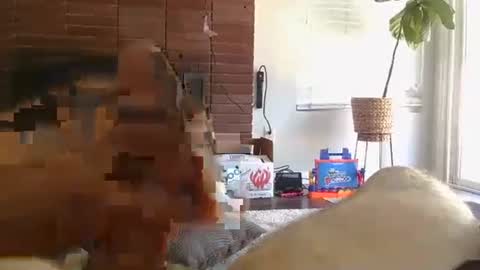 ryanbobby88 online show from September 13, 8:08 pm
